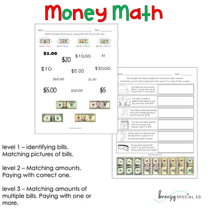 Christmas Differentiated Life Skill Math Pack (special education)