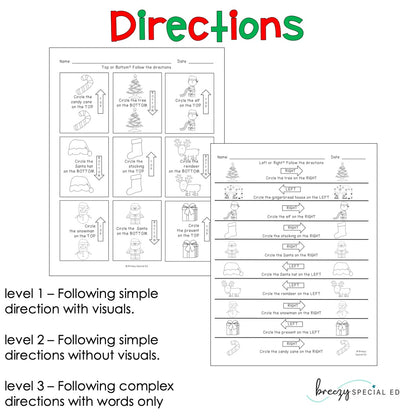 Christmas Differentiated Life Skill Math Pack (special education)