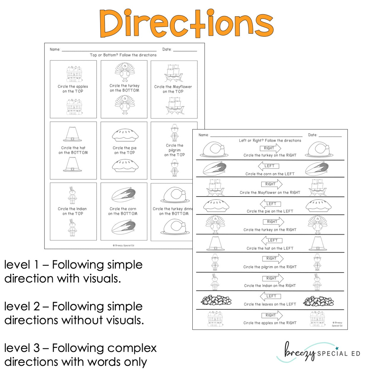 Differentiated Life Skill Math Pack: Thanksgiving (special education)