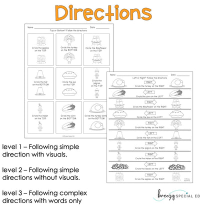Differentiated Life Skill Math Pack: Thanksgiving (special education)