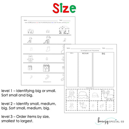 Christmas Differentiated Life Skill Math Pack (special education)