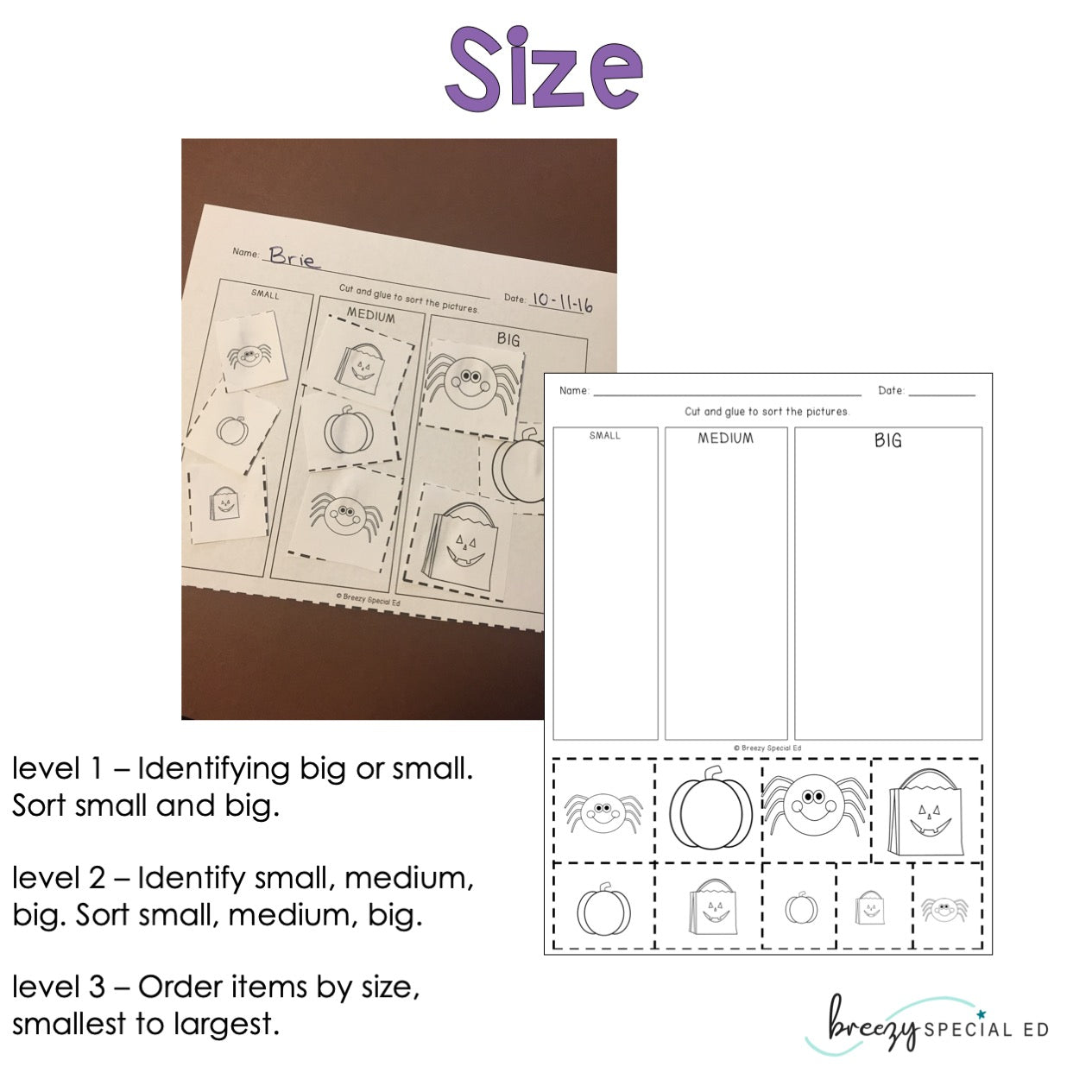 Differentiated Life Skill Math Pack: Halloween Themed (special education)