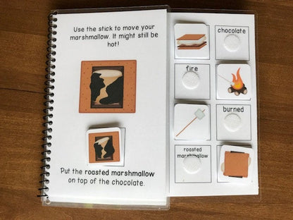 S'mores Visual Recipe and Adapted Book for Special Education - Fully Prepped