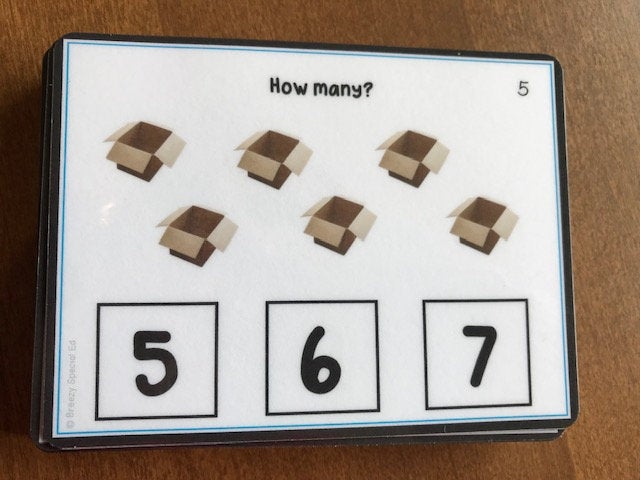 Counting up to 10 Visual Task Cards (Autism and Special Education) 2 sets of 40 cards - Fully Prepped