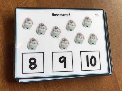 Counting up to 10 Visual Task Cards (Autism and Special Education) 2 sets of 40 cards - Fully Prepped