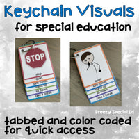 Visual Rules Keychain / Lanyard for Special Education