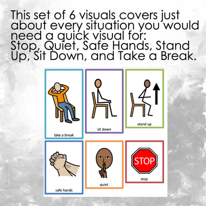 Visual Rules Keychain / Lanyard for Special Education