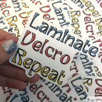 Laminate Velcro Repeat | Teacher Sticker | Special Education