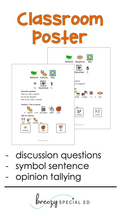National Days November Differentiated Journals for special education