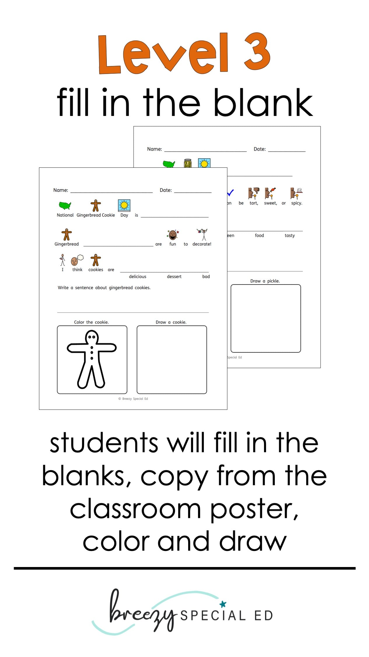 National Days November Differentiated Journals for special education
