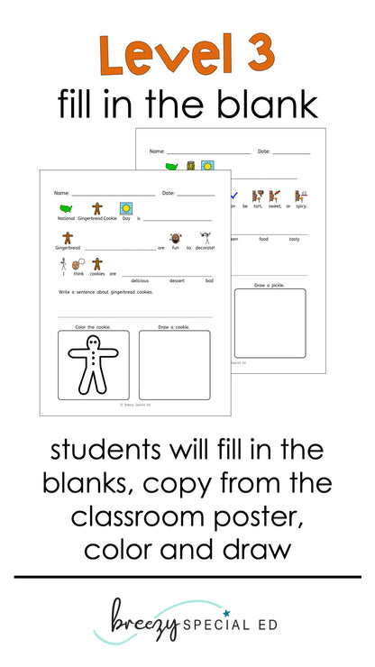 National Days November Differentiated Journals for special education