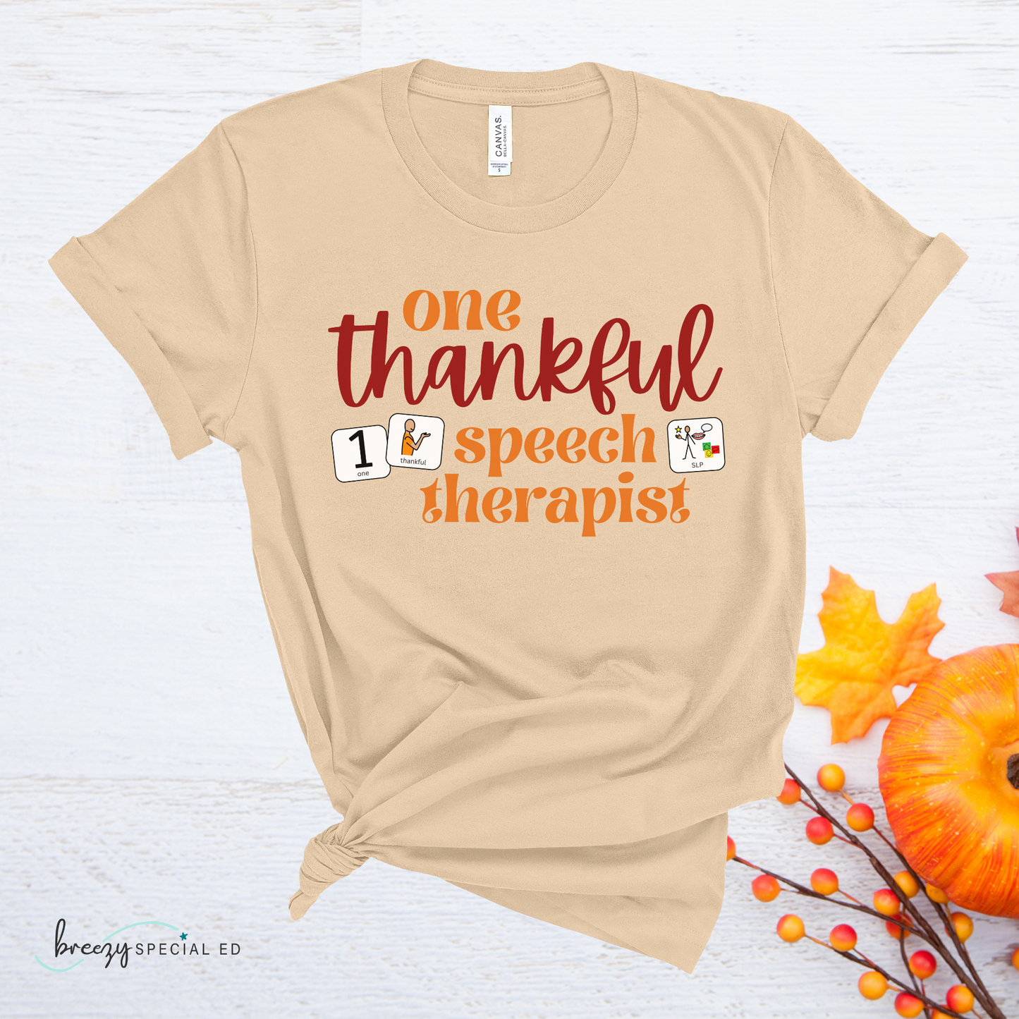 One Thankful Speech Therapist Shirt with symbol cards for SLPs | Speech Pathlogist