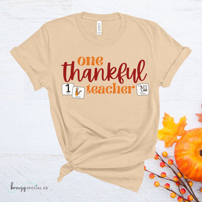 One Thankful Teacher Shirt with symbol cards for Special Education Teachers