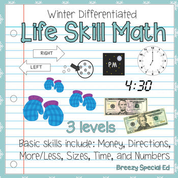Differentiated Life Skill Math Pack: Winter (special education)