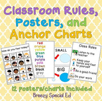 Classroom Posters, rules and anchor charts for special education clasrooms