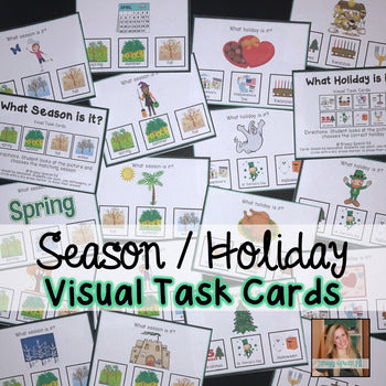 Season and Holiday Visual Task Cards (Special Ed)