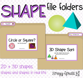Shape File Folders 2D and 3D - Great for Early Ed or Special Education