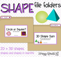 Shape File Folders 2D and 3D - Great for Early Ed or Special Education