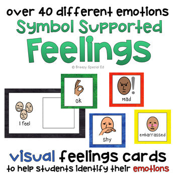 Feeling and Emotion Cards (for a mirror or binder) Special Education