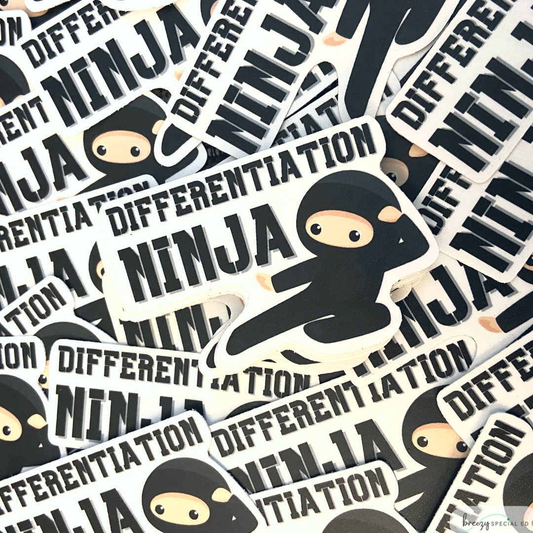 Differentiation Ninja | Teacher Sticker | Special Education