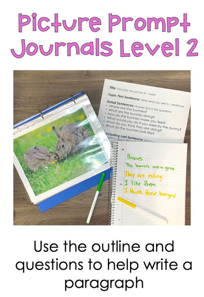 level 2 of differentiated journal prompts for special education