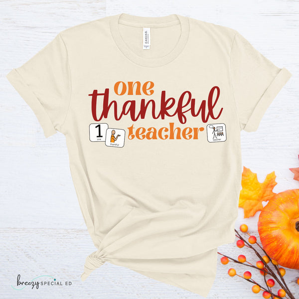 One Thankful Teacher Shirt with symbol cards for Special Education Teachers