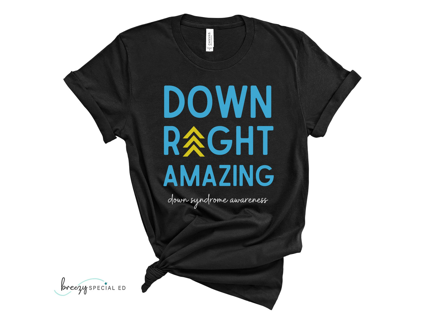Down Right Amazing | Down Syndrome Awareness 3.21 | Special Education Teacher Tee